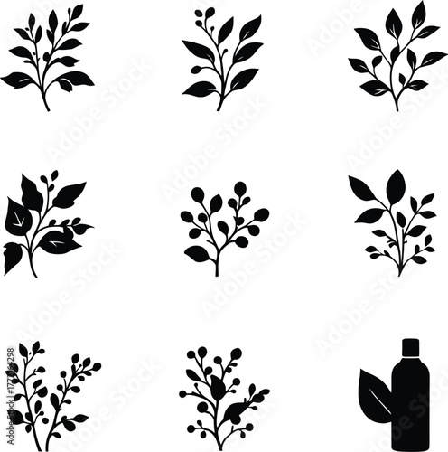 Collection of black botanical illustrations with leaves berries and a bottle on a white background silhouette