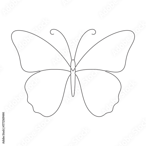 butterfly isolated on white