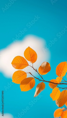 autumn leaves background