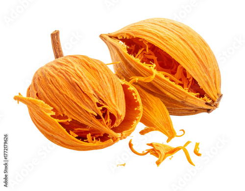 Dried Mace Spice Isolated on White Background