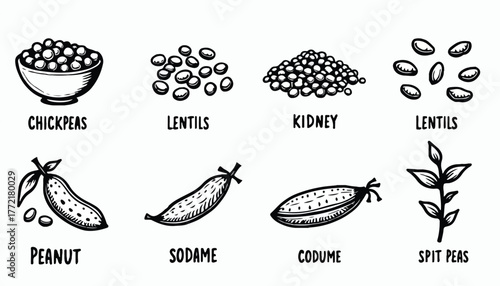 [Artistly Design] 019a24dd-7984-716a-a466-ba8a5dd24992_traced