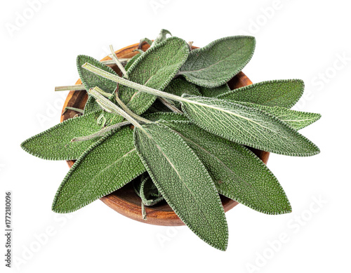 Dried Sage Leaves in Wooden Bowl Isolated on White Background