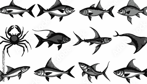 Detailed illustrations of fish and a crab with grayscale shading
