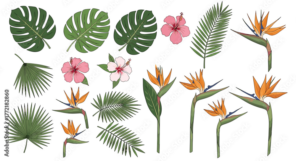 Naklejka premium Hand-drawn tropical leaves and exotic flowers set, featuring Monstera, hibiscus, and bird of paradise on a white background.