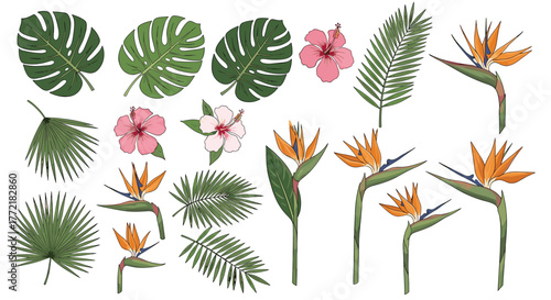 Hand-drawn tropical leaves and exotic flowers set, featuring Monstera, hibiscus, and bird of paradise on a white background.