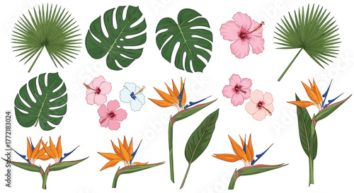 A vibrant vector collection of tropical plants and exotic flowers, featuring detailed illustrations of Monstera, palm, hibiscus, and bird of paradise.