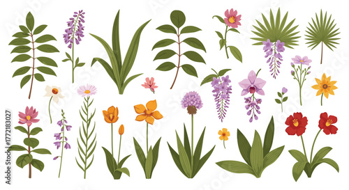 A vibrant assortment of botanical illustrations featuring various colorful flowers and lush green foliage, perfect for design projects and educational materials.