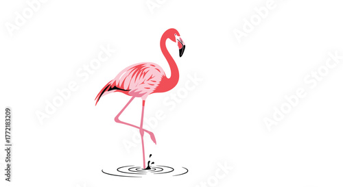 A graceful pink flamingo stands elegantly on one leg in shallow water, creating subtle ripples.