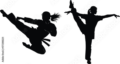 Karate kick and gymnastics stretch silhouette