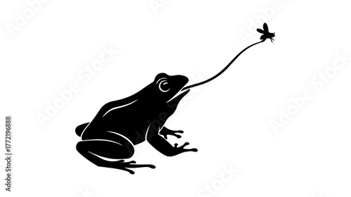 Frog catching fly with transparent background