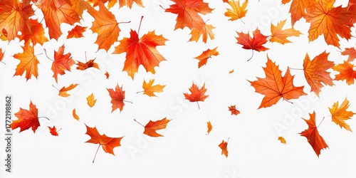 A colorful autumnal scene with falling maple leaves against a white background.