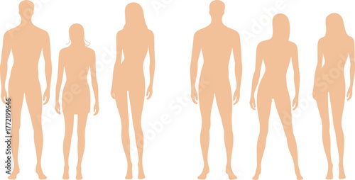 Group of human silhouettes male and female, height comparison, family figure outline, lifestyle illustration, fashion design template, isolated flat vector