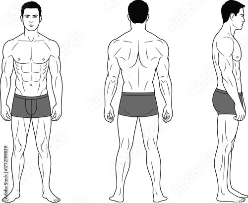 Flat vector cad drawing, male anatomy figure, muscular body outline, fitness model sketch, anatomy reference, bodybuilding illustration, character design template, human posture study