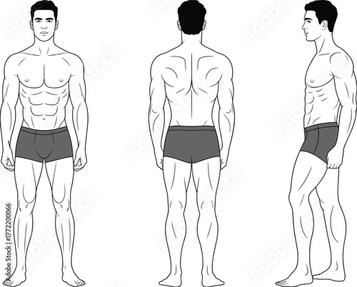 Flat vector cad drawing, male anatomy figure, muscular body outline, fitness model sketch, anatomy reference, bodybuilding illustration, character design template, posture study