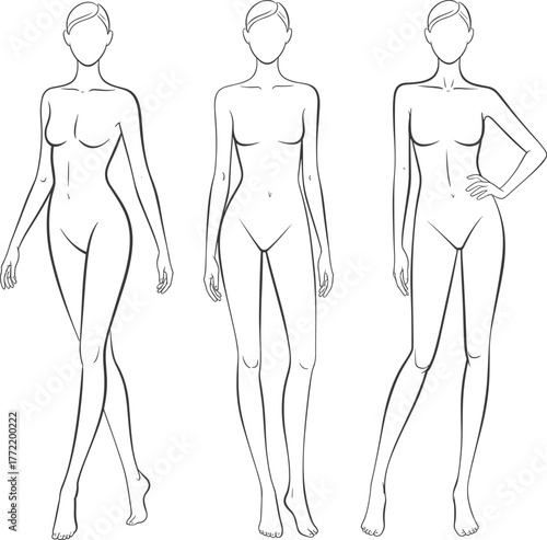Fashion female body templates, elegant woman figure poses, beauty model sketch outline, realistic feminine anatomy drawing, vector illustration art, flat vector