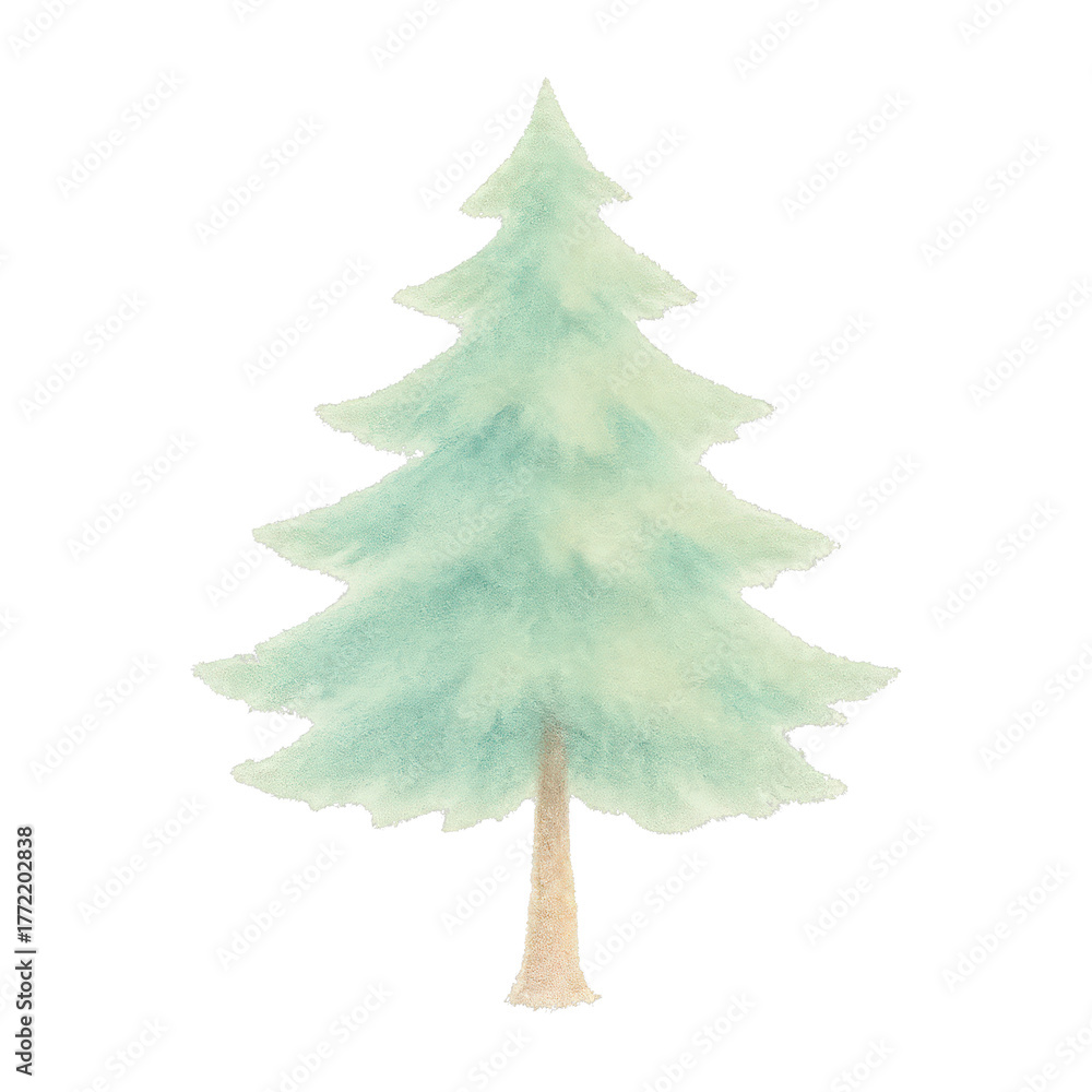 Fototapeta premium PNG Watercolor evergreen tree illustration.
