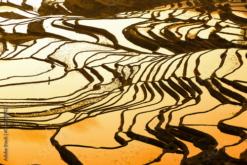 Aerial view of Yuanyang Rice Terraces at sunrise.