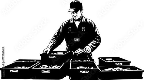 harvest sorted delivering fresh catch to market for consumers