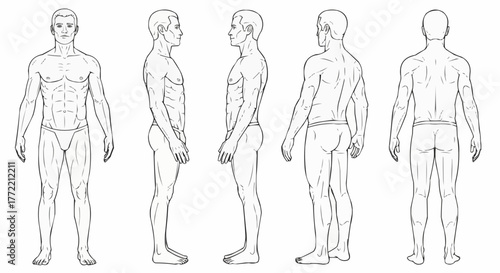 Human body anatomy illustration showing different views and perspectives.