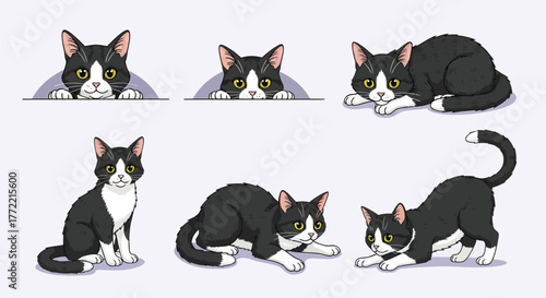Adorable tuxedo cat cartoon poses for your designs cute pet illustrations graphic asset