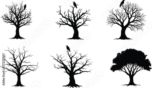 Dead tree silhouette, crow on branches, spooky Halloween vector, barren forest design, dark nature artwork, gothic tree illustration, eerie atmosphere art