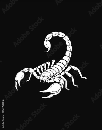 A striking, detailed illustration of a scorpion in white against a solid black background. The arachnid is depicted with its tail curled upwards.