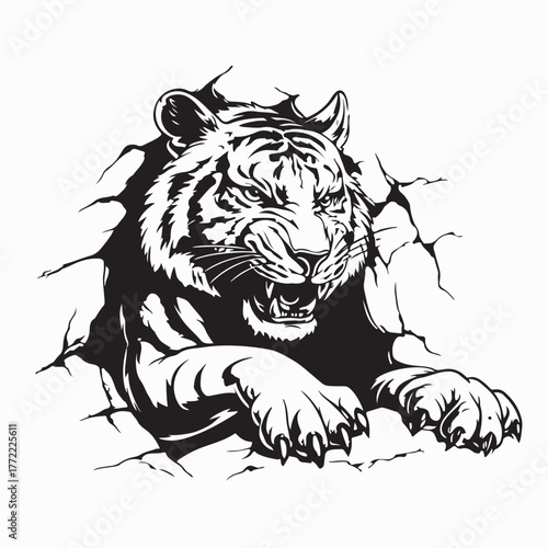 Angry Tiger Coming Out of Cave Vector Illustration on white background
