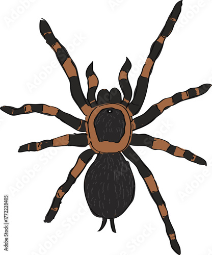Spider Illustration with dark and orange color