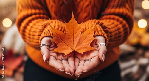 Hands holding a single autumn maple leaf