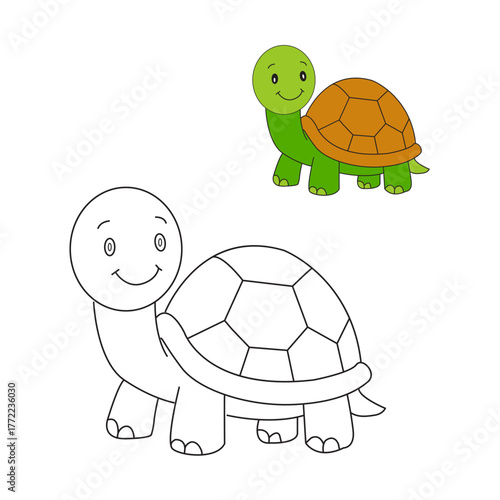 Tortoise coloring art illustration