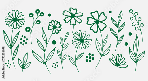 green botanical sketch set