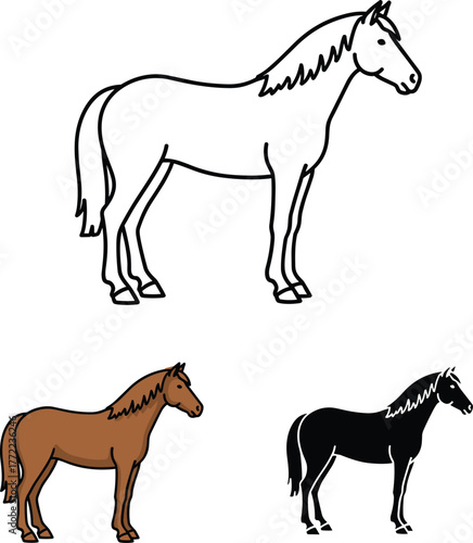 Standing Horse Outline, Silhouette, and Color Icon Vector Set