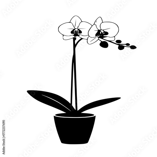 Capture the timeless charm of nature with this detailed potted orchid vector. Perfect for floral prints, gardening products, or wellness brand visuals.