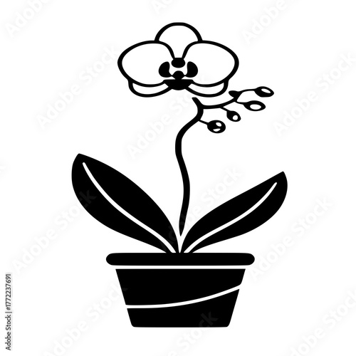 Capture the timeless charm of nature with this detailed potted orchid vector. Perfect for floral prints, gardening products, or wellness brand visuals.