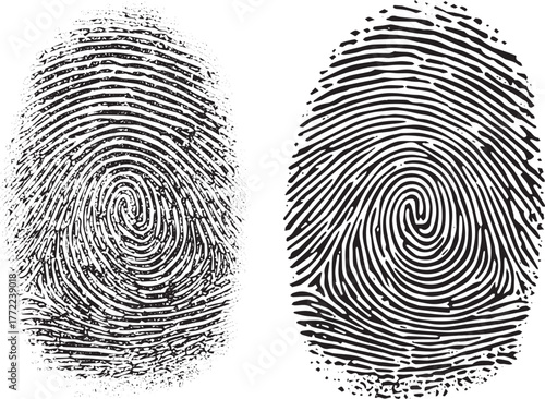 Black vector fingerprint illustration symbolizing unique biometric identity and forensic security on a white background