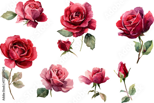 set of red roses