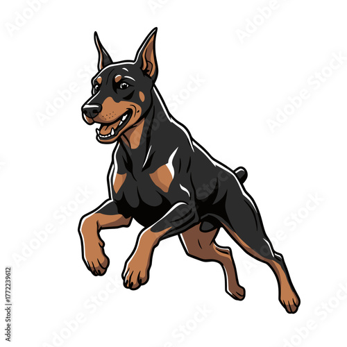 Running Doberman pinscher dog in playful pose with energetic expression  