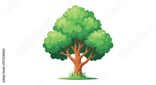 Illustration of a lush green tree, showcasing its vibrant foliage and sturdy trunk in detail