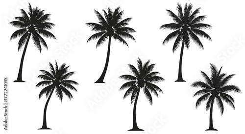 Silhouette of a group of palm trees, evoking tropical vibes and summer vacation