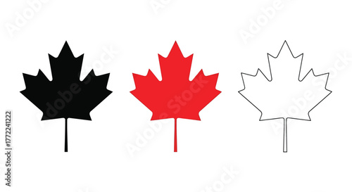 Three maple leaves in black, red, and white vector illustration of canadian symbol