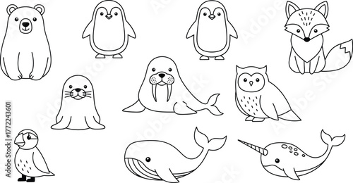 Arctic animals polar bear penguin seal walrus owl fox whale narwhal puffin