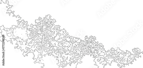 Minniale tree trees forest nature woodland foliage leaves branches outline art