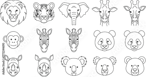 Animal heads lion tiger elephant giraffe monkey zebra panda rhino koala bear