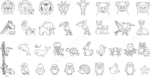 Animal lion tiger elephant bird whale penguin owl drawing illustration zoo