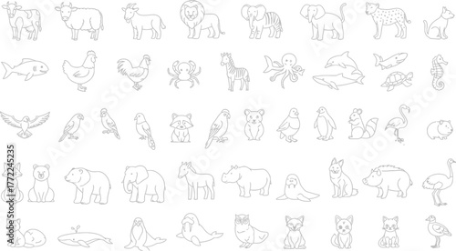 Animal illustrations farm animals jungle animals safari animals arctic animals