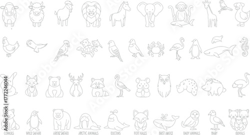 Animal illustrations vector drawing wildlife nature zoo farm pets mammals birds