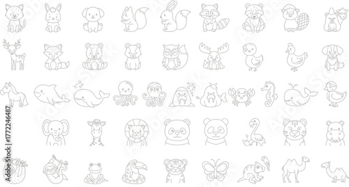 Animals mammals wildlife nature zoo pets farm forest ocean rainforest cute