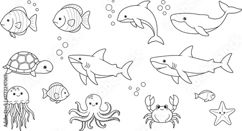 Ocean animals sea life marine fish shark dolphin whale turtle crab octopus star