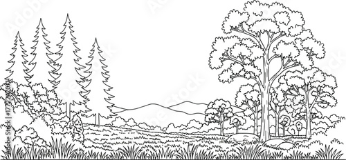 Forest trees nature landscape mountains outdoors woodland drawing scenic calm