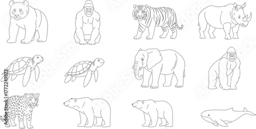 Animal outlines panda gorilla tiger rhino turtle elephant leopard bear whale drawing